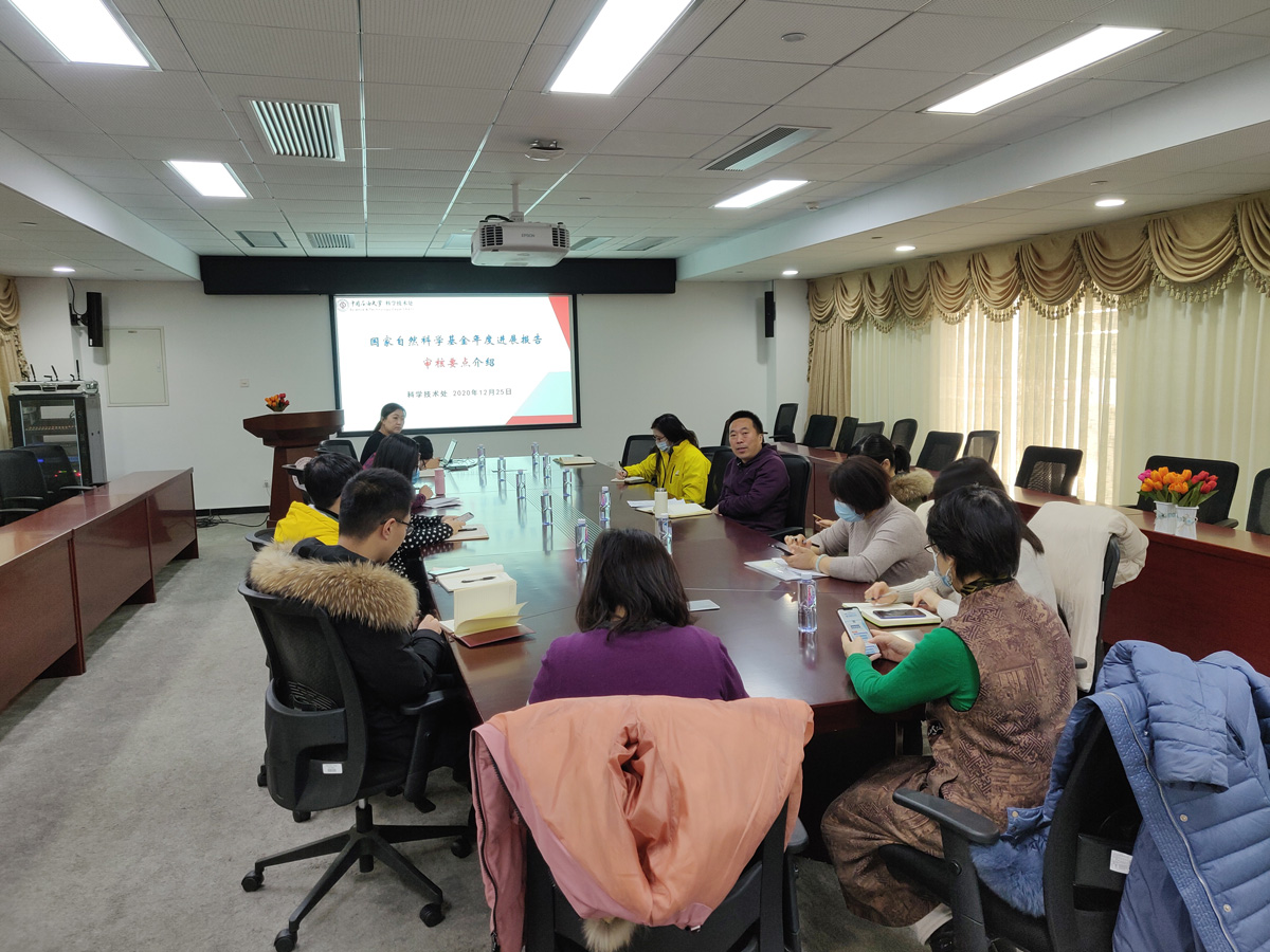 38629ba352d4496a8f8baa6d2e114526.jpg 2020年進展報告.jpg