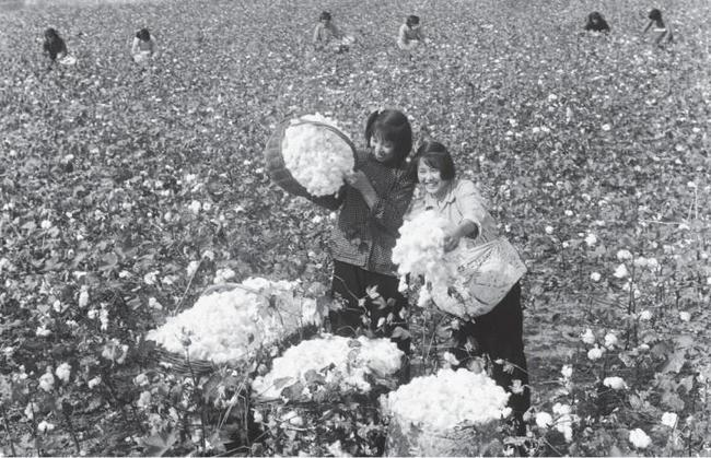 53cc99173f0a4f51a720d47c22fb2e31.png 53cc99173f0a4f51a720d47c22fb2e31.png