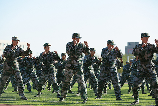 軍體拳 魏靜怡攝.jpg