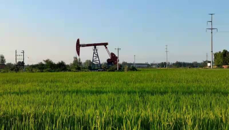 c62acf67cc4a4a59bbe7b89ba8180475.jpg c62acf67cc4a4a59bbe7b89ba8180475.jpg