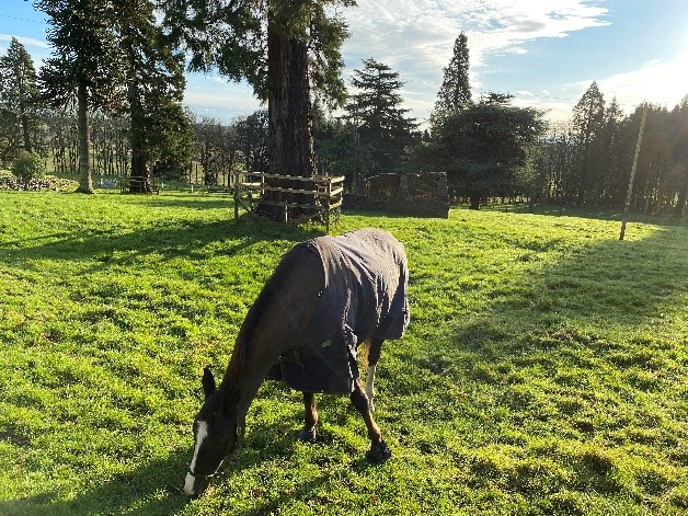 bbd5ed5d1dbc44e297490a6faad6a45f.jpg bbd5ed5d1dbc44e297490a6faad6a45f.jpg