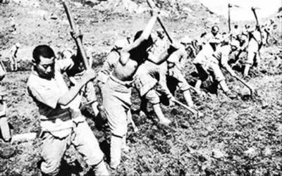 0d5fbcccd14547558060131f3d01ed5d.jpg 微信圖片_20201201153831.jpg